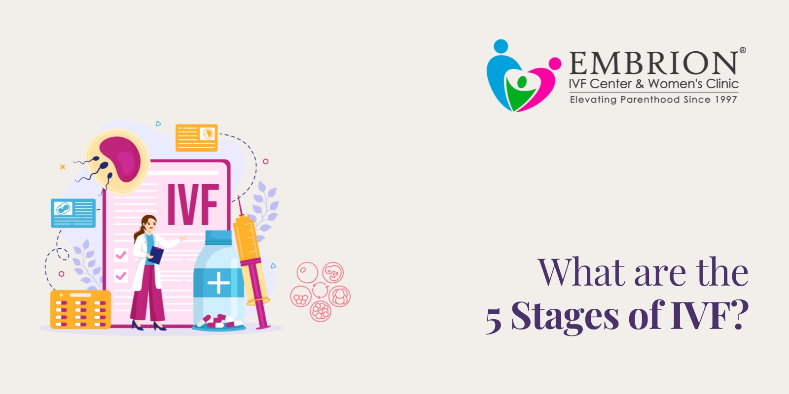 What Are the 5 Stages of IVF