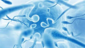 Tesa Pesa Male infertility in Ahmedabad